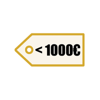 Rugs under €1000