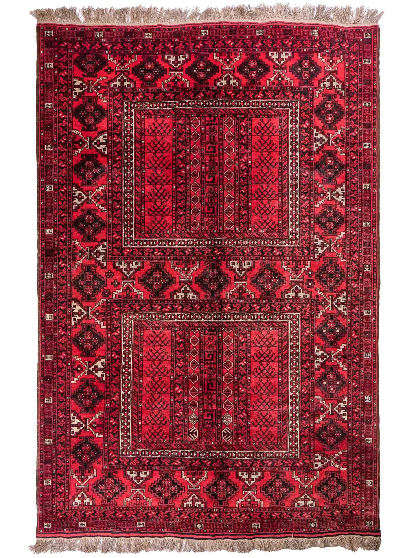 Feiner, handgeknüpfter Afghan Wollteppich von Khademi. Größe: 235 x 156 cm. Farbe: Rot. Verkauf durch JUPITER Intl.